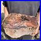 32_4lb_Rare_Natural_petrified_wood_rough_Wood_fossil_mineral_specimen_healing_01_kqse