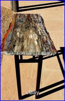 32.5 Large Gem Quality Petrified Wood Plank Cut Entry Way Table Arizona