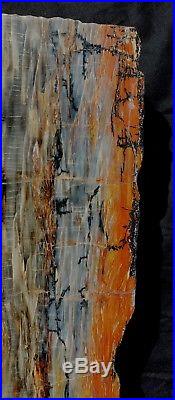 32.5 Quality Fossil Petrified Wood Rip Cut Table Top Arizona Chinle Red Blue