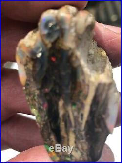 32.6 grams Virgin Valley Stable Dry Conk Black Wood Fire Opal 163 carats