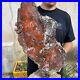 32_8lb_Rare_Natural_Red_petrified_wood_rough_Wood_fossil_mineral_specimen_healin_01_di