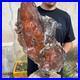 32_8lb_Rare_Natural_Red_petrified_wood_rough_Wood_fossil_mineral_specimen_healin_01_uogl