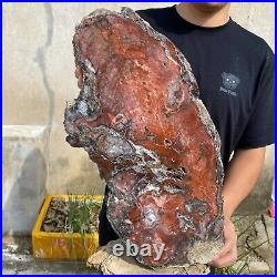 32.8lb Rare Natural Red petrified wood rough Wood fossil mineral specimen healin 32.8lb Rare Natural Red petrified wood rough Wood fossil mineral specimen healin