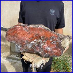 32.8lb Rare Natural Red petrified wood rough Wood fossil mineral specimen healin 32.8lb Rare Natural Red petrified wood rough Wood fossil mineral specimen healin