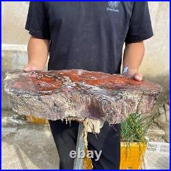 32.8lb Rare Natural Red petrified wood rough Wood fossil mineral specimen healin 32.8lb Rare Natural Red petrified wood rough Wood fossil mineral specimen healin