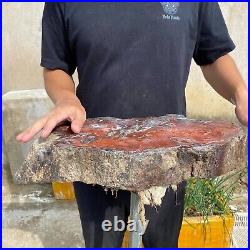32.8lb Rare Natural Red petrified wood rough Wood fossil mineral specimen healin 32.8lb Rare Natural Red petrified wood rough Wood fossil mineral specimen healin