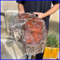 32.8lb Rare Natural Red petrified wood rough Wood fossil mineral specimen healin 32.8lb Rare Natural Red petrified wood rough Wood fossil mineral specimen healin