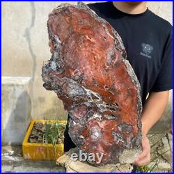 32.8lb Rare Natural Red petrified wood rough Wood fossil mineral specimen healin 32.8lb Rare Natural Red petrified wood rough Wood fossil mineral specimen healin