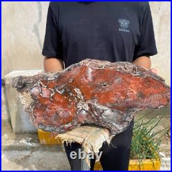 32.8lb Rare Natural Red petrified wood rough Wood fossil mineral specimen healin 32.8lb Rare Natural Red petrified wood rough Wood fossil mineral specimen healin