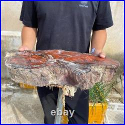 32.8lb Rare Natural Red petrified wood rough Wood fossil mineral specimen healin 32.8lb Rare Natural Red petrified wood rough Wood fossil mineral specimen healin