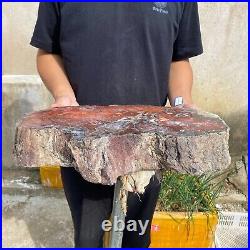 32.8lb Rare Natural Red petrified wood rough Wood fossil mineral specimen healin 32.8lb Rare Natural Red petrified wood rough Wood fossil mineral specimen healin