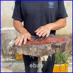32.8lb Rare Natural Red petrified wood rough Wood fossil mineral specimen healin 32.8lb Rare Natural Red petrified wood rough Wood fossil mineral specimen healin