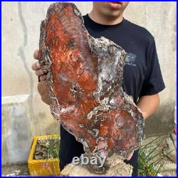 32.8lb Rare Natural Red petrified wood rough Wood fossil mineral specimen healin 32.8lb Rare Natural Red petrified wood rough Wood fossil mineral specimen healin