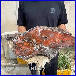 32.8lb Rare Natural Red petrified wood rough Wood fossil mineral specimen healin 32.8lb Rare Natural Red petrified wood rough Wood fossil mineral specimen healin