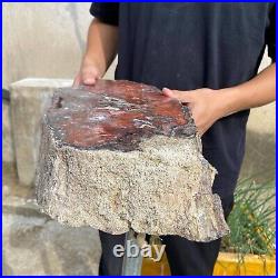 32.8lb Rare Natural Red petrified wood rough Wood fossil mineral specimen healin 32.8lb Rare Natural Red petrified wood rough Wood fossil mineral specimen healin