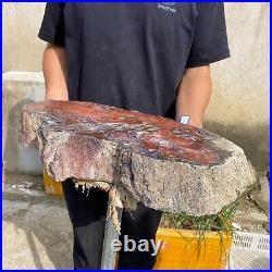 32.8lb Rare Natural Red petrified wood rough Wood fossil mineral specimen healin 32.8lb Rare Natural Red petrified wood rough Wood fossil mineral specimen healin