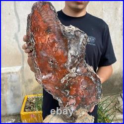 32.8lb Rare Natural Red petrified wood rough Wood fossil mineral specimen healin 32.8lb Rare Natural Red petrified wood rough Wood fossil mineral specimen healin