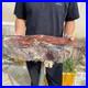 32_8lb_Rare_Natural_petrified_wood_rough_Wood_fossil_mineral_specimen_healing_01_pf