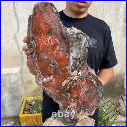 32.8lb Rare Natural petrified wood rough Wood fossil mineral specimen healing 32.8lb Rare Natural petrified wood rough Wood fossil mineral specimen healing