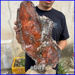 32.8lb Rare Natural petrified wood rough Wood fossil mineral specimen healing 32.8lb Rare Natural petrified wood rough Wood fossil mineral specimen healing