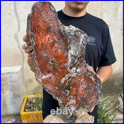32.8lb Rare Natural petrified wood rough Wood fossil mineral specimen healing 32.8lb Rare Natural petrified wood rough Wood fossil mineral specimen healing