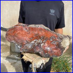 32.8lb Rare Natural petrified wood rough Wood fossil mineral specimen healing 32.8lb Rare Natural petrified wood rough Wood fossil mineral specimen healing