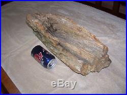 32 pound Petrified Wood Log N W Louisiana Red River