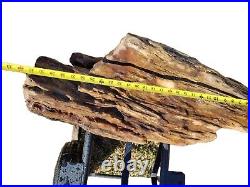 32inch Petrified Wood Log