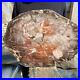 32lb_Rare_Natural_petrified_wood_rough_Wood_fossil_mineral_specimen_healing_01_bdq
