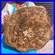 33_44LB_Natural_Petrified_Wood_Fossil_slab_Crystal_mineral_Slice_reiki_Healing_01_vr