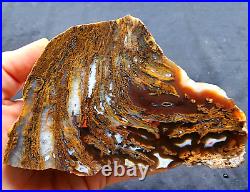 33.65oz (954 gr) Petrified Agate, Fossil Wood, Petrified Wood, Collectible Agate