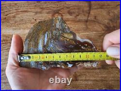 33.65oz (954 gr) Petrified Agate, Fossil Wood, Petrified Wood, Collectible Agate