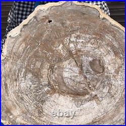 33.77LB Natural Petrified Wood Fossil Crystal Polished Slice Madagascar