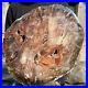33_9lb_Rare_Natural_petrified_wood_rough_Wood_fossil_mineral_specimen_healing_01_nxdg