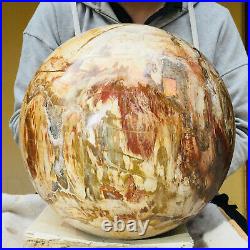 34200g Huge Natural Petrified Wood Fossil Crystal Sphere Healing Specimen