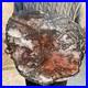 34_5lb_Rare_Natural_petrified_wood_rough_Wood_fossil_mineral_specimen_healing_01_lcc