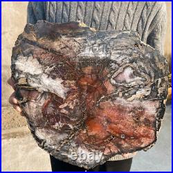 34.5lb Rare Natural petrified wood rough Wood fossil mineral specimen healing 34.5lb Rare Natural petrified wood rough Wood fossil mineral specimen healing
