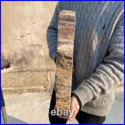 34.5lb Rare Natural petrified wood rough Wood fossil mineral specimen healing 34.5lb Rare Natural petrified wood rough Wood fossil mineral specimen healing