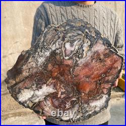 34.5lb Rare Natural petrified wood rough Wood fossil mineral specimen healing 34.5lb Rare Natural petrified wood rough Wood fossil mineral specimen healing