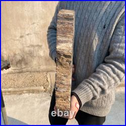 34.5lb Rare Natural petrified wood rough Wood fossil mineral specimen healing 34.5lb Rare Natural petrified wood rough Wood fossil mineral specimen healing