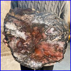 34.5lb Rare Natural petrified wood rough Wood fossil mineral specimen healing 34.5lb Rare Natural petrified wood rough Wood fossil mineral specimen healing