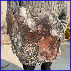 34.5lb Rare Natural petrified wood rough Wood fossil mineral specimen healing 34.5lb Rare Natural petrified wood rough Wood fossil mineral specimen healing