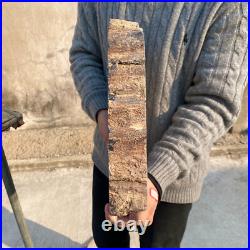 34.5lb Rare Natural petrified wood rough Wood fossil mineral specimen healing 34.5lb Rare Natural petrified wood rough Wood fossil mineral specimen healing