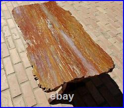 34 Inch Polished Arizona Rainbow Petrified Wood Table Custom Tree Of Life Base