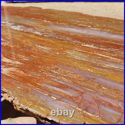 34 Inch Polished Arizona Rainbow Petrified Wood Table Custom Tree Of Life Base