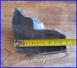 361 gr (12.73 oz) Collawood Rare Chrysocolla Petrified Wood Slab Colla Wood