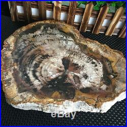 3700g Natural Petrified Wood Fossil Crystal Ashtray Madagascar y097
