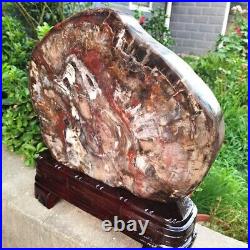 37Kg Beautiful Petrified Wood Fossil Slice Crystal Freeform +stand i270