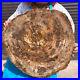 37_18LB_Natural_Petrified_Wood_Fossil_slab_Crystal_mineral_Slice_reiki_Healing_01_pggv