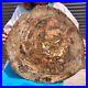 37_18LB_Natural_petrified_wood_fossil_crystal_polished_slice_Madagascar_1975_01_jcqq